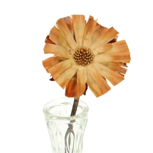 Dried Protea supercuts - stem - dried flowers