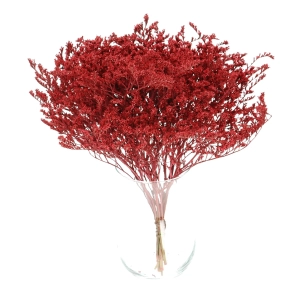 Dried red Limonium tataricum - bunch - dried flowers