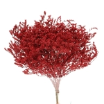 Dried red Limonium tataricum - bunch - dried flowers