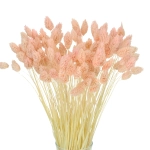 Dried salmon Phalaris - canary grass ~80 stems