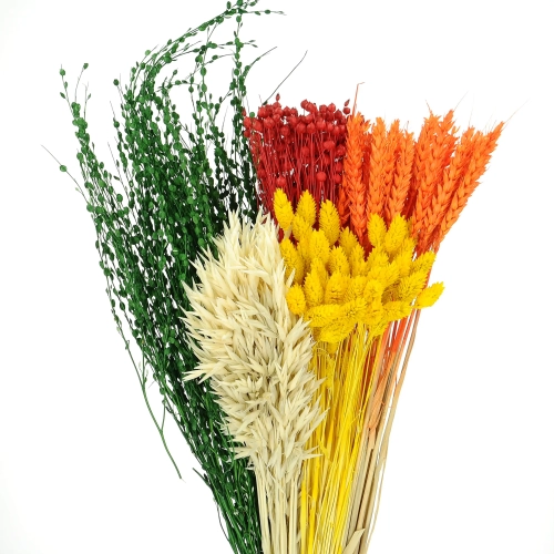 Zestaw kwiatów suszonych do wazonu - Energia