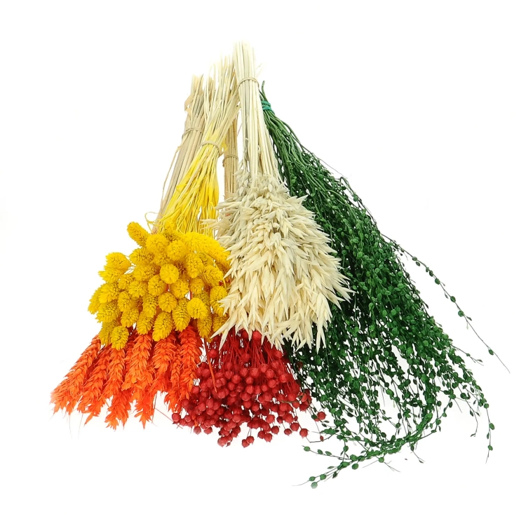 Dried flowers set - Energy