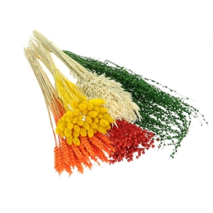 Dried flowers set - Energy