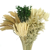 Dried flowers set - Balance 