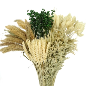 Set von Trockenblumen für Vase - Phalaris, Strohblumen, Weizen (1) (1)