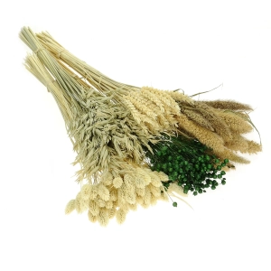 Dried flowers set - Balance