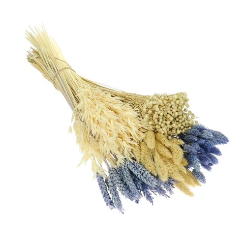 Dried flowers set - Heaven