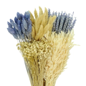 Set von Trockenblumen für Vase - Phalaris, Strohblumen, Weizen (1) (1) (1)