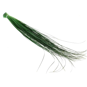 Preserved green bear grass - bunch