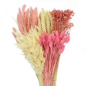 Set von Trockenblumen für Vase - Phalaris, Strohblumen, Weizen (1) (1) (1) (1)