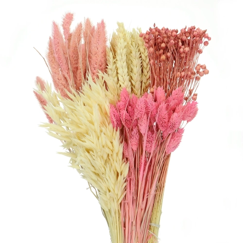 Zestaw kwiatów suszonych - Słodycz