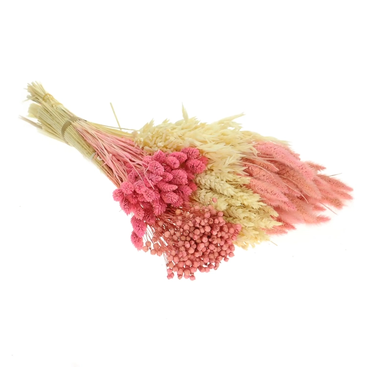 Dried flowers set - Sweetness