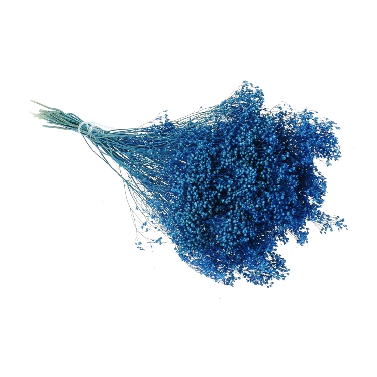 Suszone kwiaty - żarnowiec, broom bloom niebieski - bukiet