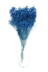 Suszone kwiaty - żarnowiec, broom bloom niebieski - bukiet
