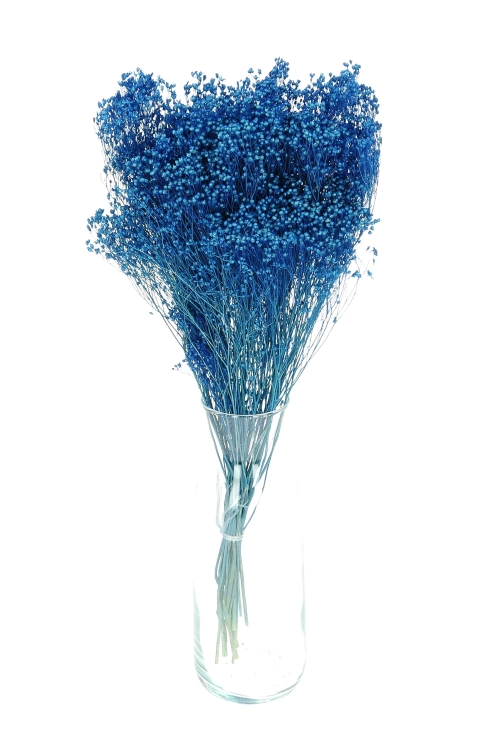Suszone kwiaty - żarnowiec, broom bloom niebieski - bukiet