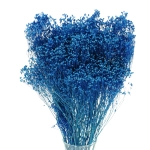 Broom Bloom (Besenginster), blau - Strauß - Trockenblumen (1)