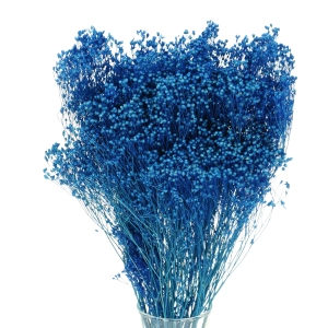 Suszone kwiaty - żarnowiec, broom bloom niebieski - bukiet