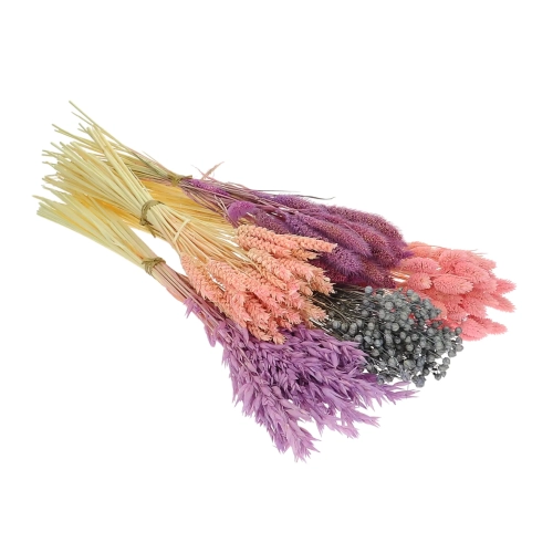 Dried flowers set - Impression
