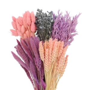 Set von Trockenblumen für Vase - Phalaris, Strohblumen, Weizen (1) (1) (1) (1) (1)