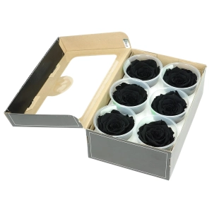 Everlasting roses (preserved) black - large - set 6 pcs