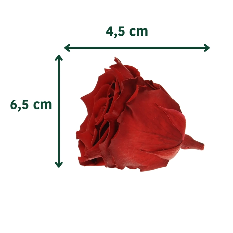Everlasting roses (preserved) black - large - set 6 pcs