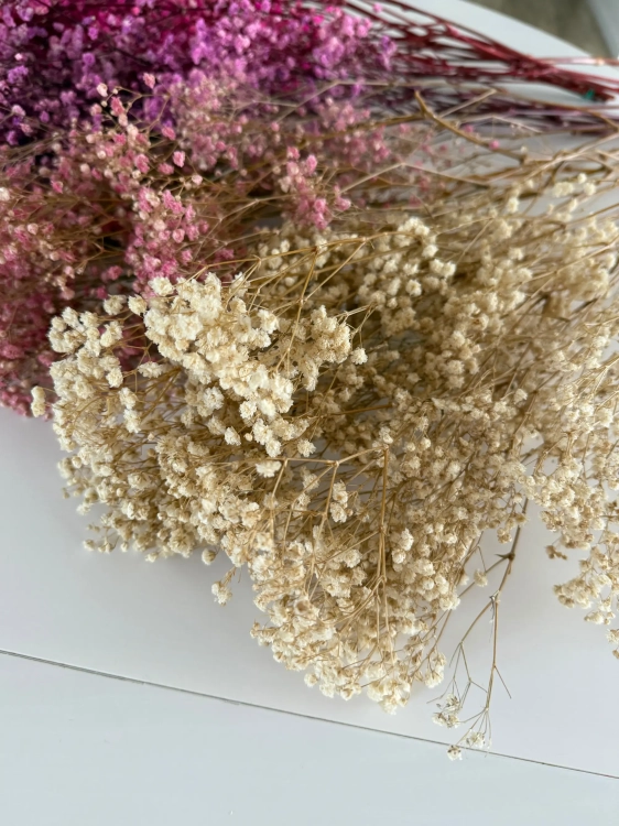Preserved natural white Gypsophila - bunch - dried flowers