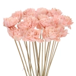 Shola flower - pink dahlia - stem
