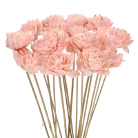 Shola flower - pink dahlia - stem