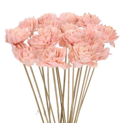 Shola flower - pink dahlia - stem