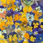 Pressed flowers - purple and orange mix ~50 pcs