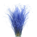 Dried pink Stipa feather (Stipa pennata) - bunch  (1)