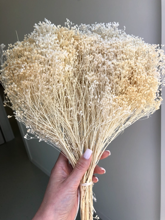 Suszony-broom-bloom-bialy-OUTLET (5).webp