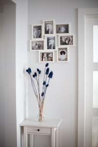 Dried blue thistle - dipsacus ~10 pcs.