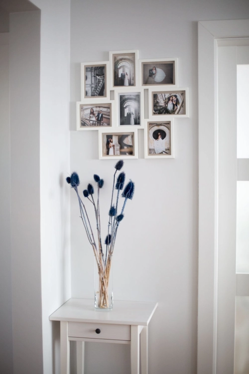 Dried blue thistle - dipsacus ~10 pcs.