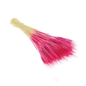 Dried fuchsia triticale - dried grain ~60 pcs