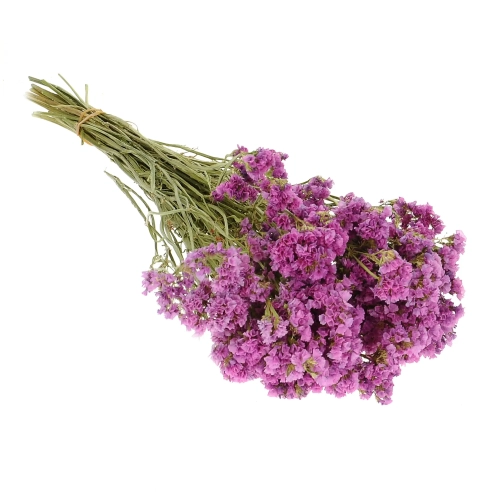 Suszony zatrwian, limonium wrzosowy - bukiet - suszone kwiaty