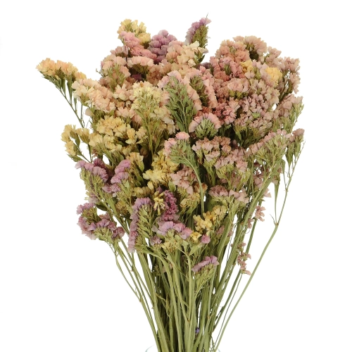 Suszony zatrwian, limonium łososiowy - bukiet - suszone kwiaty