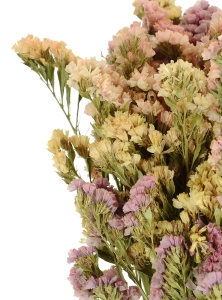 Dried salmon Limonium - bunch - dried flowers