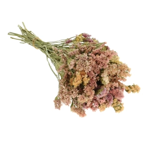 Dried salmon Limonium - bunch - dried flowers