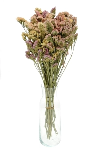 Dried salmon Limonium - bunch - dried flowers