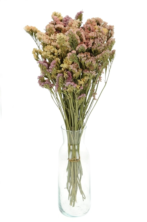 Dried salmon Limonium - bunch - dried flowers