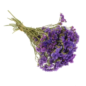 Dried purple Limonium - bunch - dried flowers
