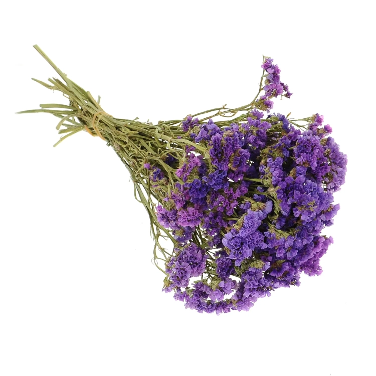 Dried purple Limonium - bunch - dried flowers