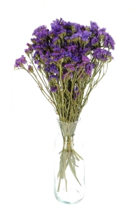 Dried purple Limonium - bunch - dried flowers