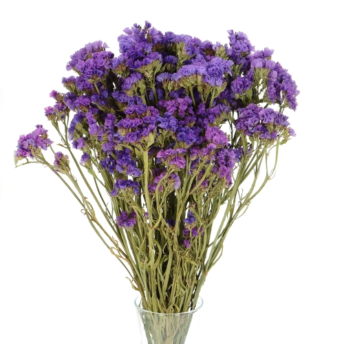 Suszony zatrwian, limonium fioletowy - bukiet - suszone kwiaty