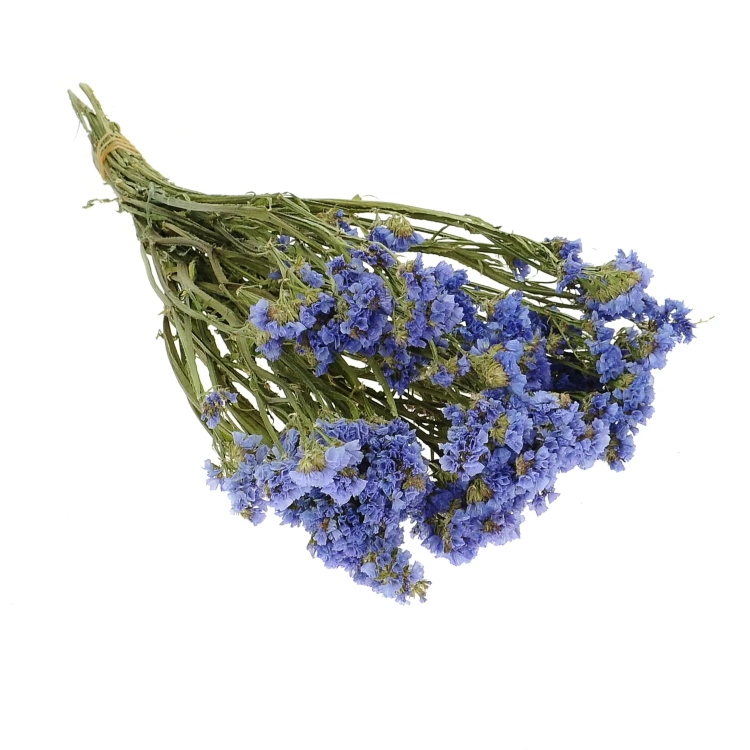 Dried blue Limonium - bunch - dried flowers