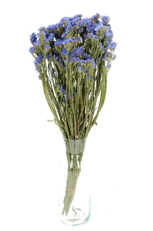 Dried blue Limonium - bunch - dried flowers
