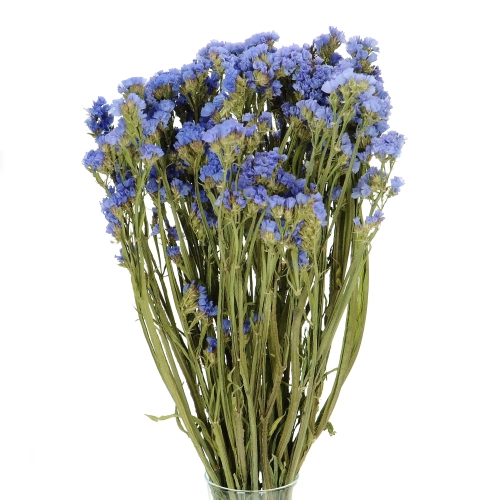 Suszony zatrwian, limonium niebieski - bukiet - suszone kwiaty