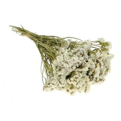 Suszony zatrwian, limonium biały - bukiet - suszone kwiaty
