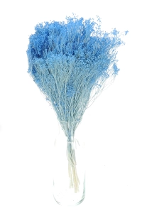 Suszone kwiaty - żarnowiec, broom bloom jasny niebieski - bukiet